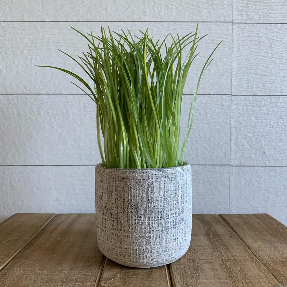 Faux green plant in cement planter